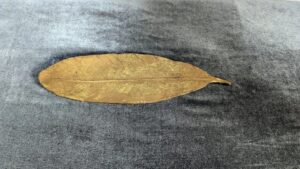 ニトリのゴールドフェザー小物置き